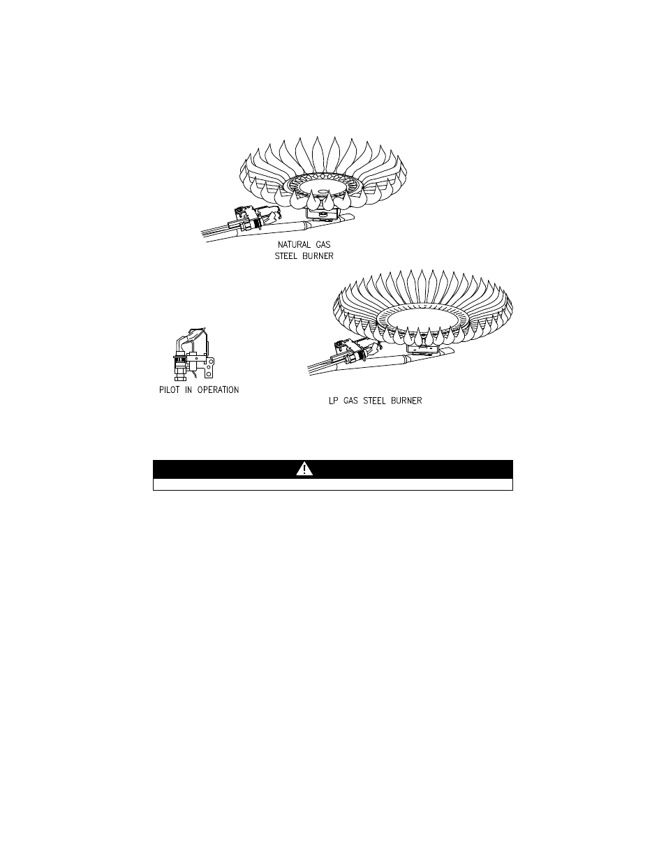 Warning | Bradford White U-PDX-75S-55FR-3N User Manual | Page 46 / 56