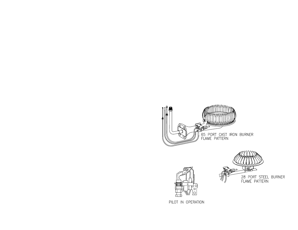 Bradford White PDX2-75T6FSX User Manual | Page 31 / 40