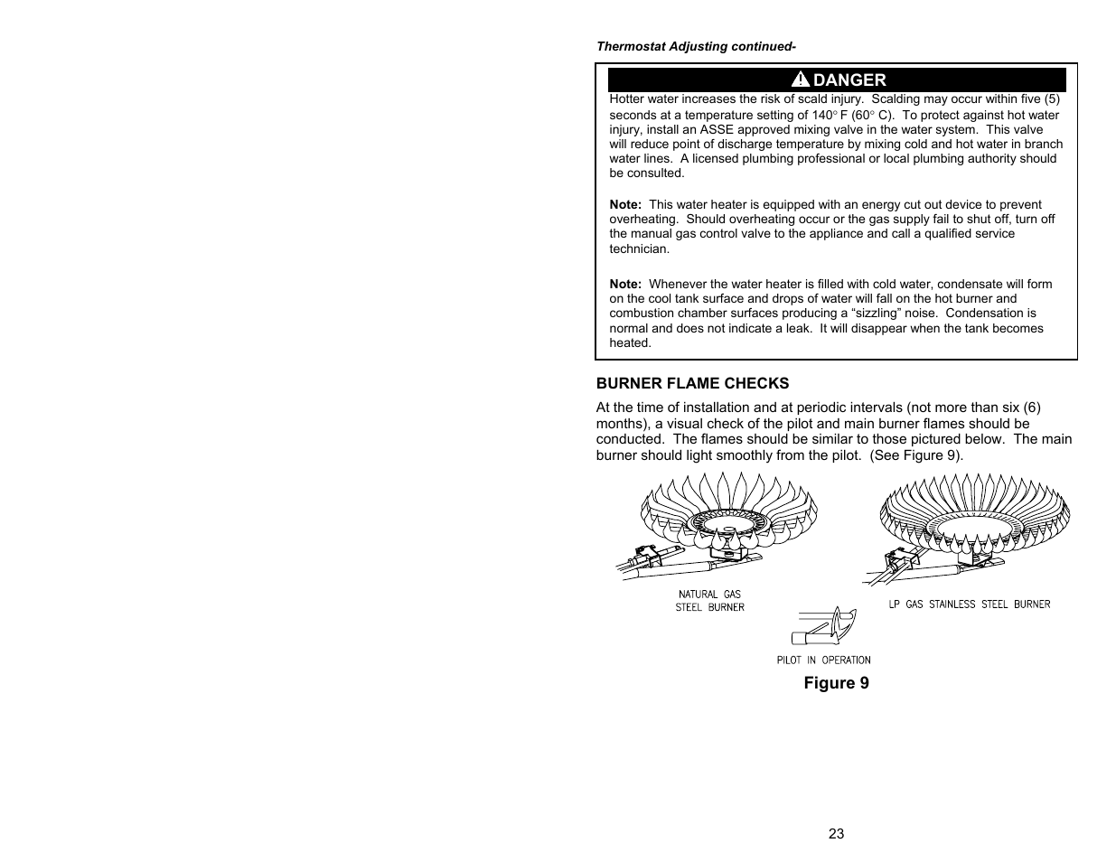 Figure 9 danger | Bradford White DH1-75S6FSX User Manual | Page 23 / 32