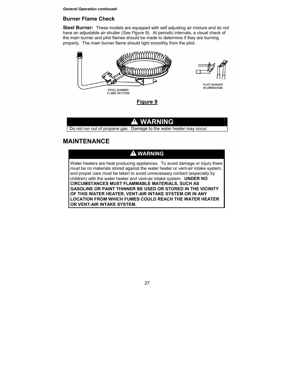 Warning, Maintenance | Bradford White M-I-MH40T6FLX User Manual | Page 27 / 32