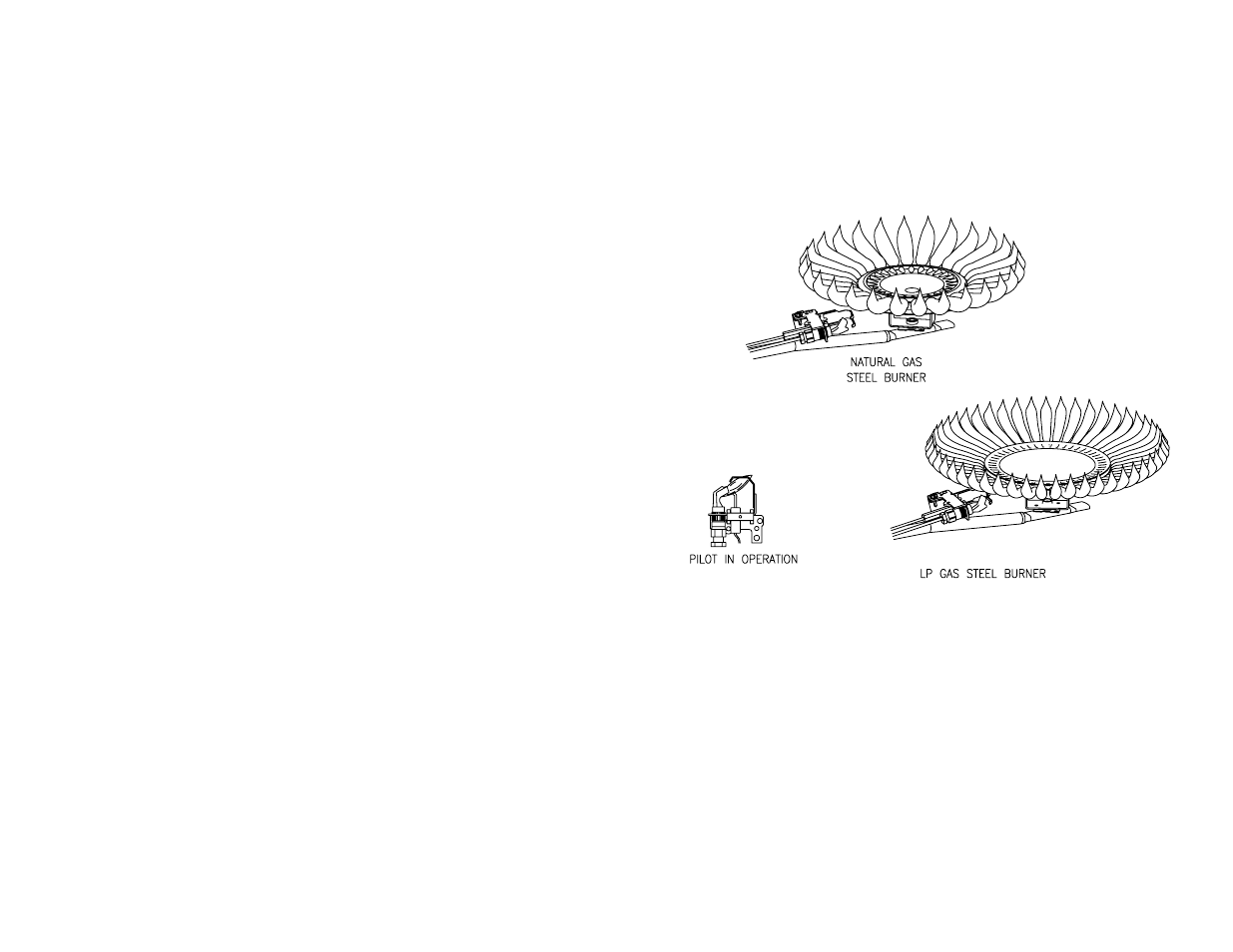 Burner flame check | Bradford White PE-2-XR504T6FSX User Manual | Page 5 / 16