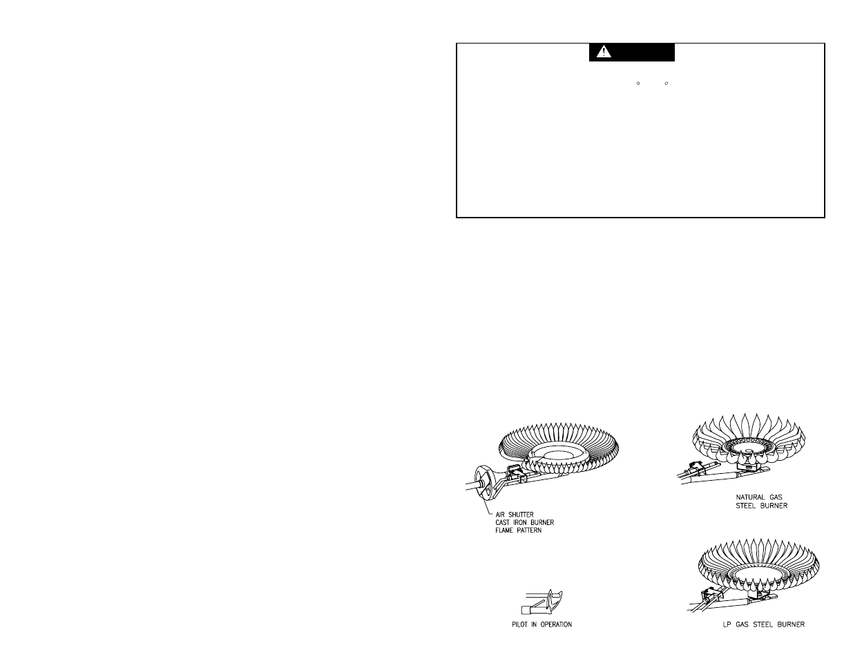 Danger | Bradford White S-2-100T6BN User Manual | Page 21 / 28