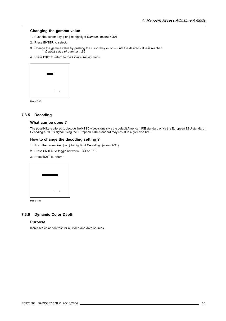 5 decoding, 6 dynamic color depth, Decoding | Dynamic color depth, Random access adjustment mode, Changing the gamma value, 5 decoding what can be done, How to change the decoding setting, 6 dynamic color depth purpose | Barco R9010010 User Manual | Page 69 / 137