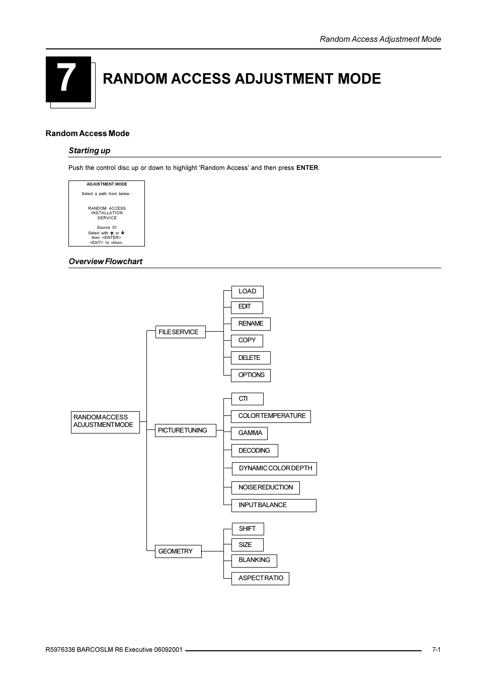 Random access adjustment mode | Barco R9002790 User Manual | Page 42 / 83