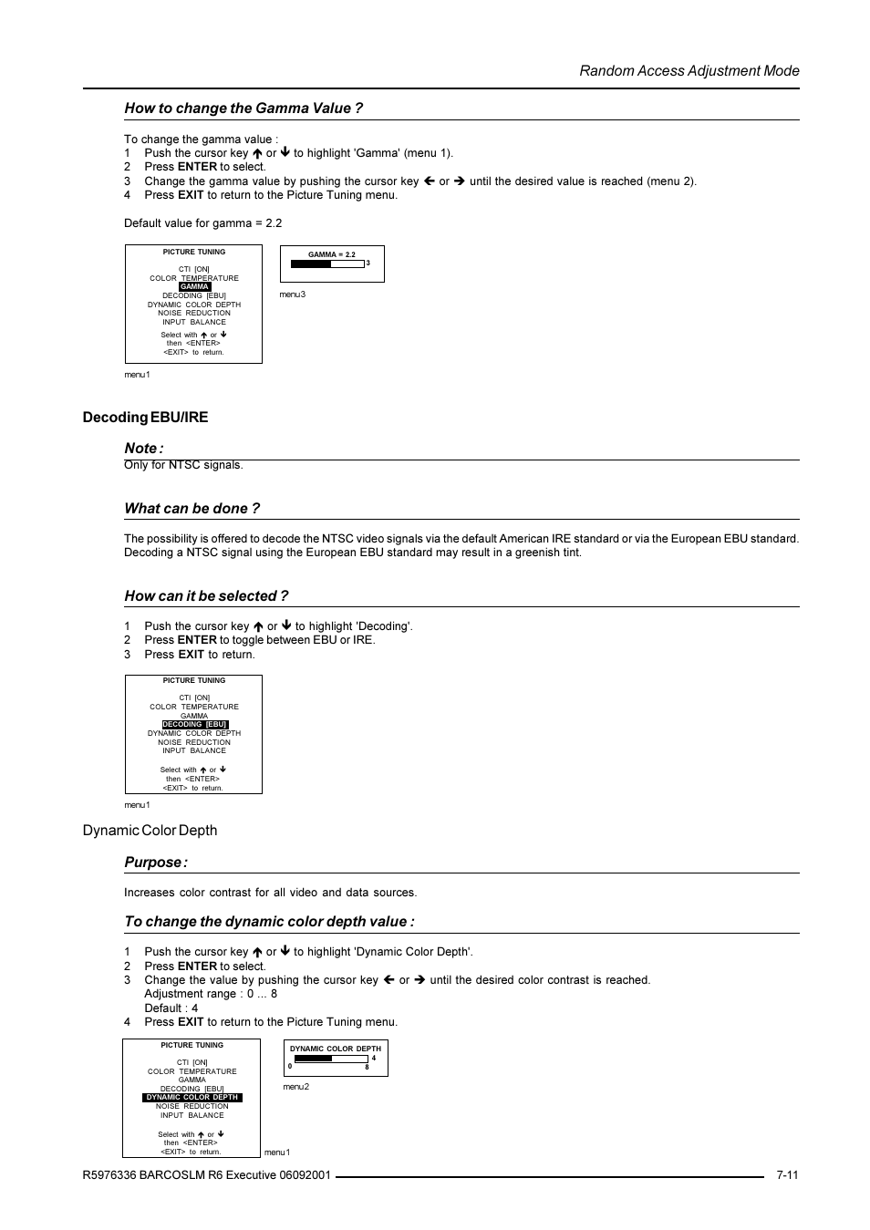 Random access adjustment mode, How to change the gamma value, What can be done | How can it be selected, Dynamic color depth purpose | Barco R9002790 User Manual | Page 52 / 83