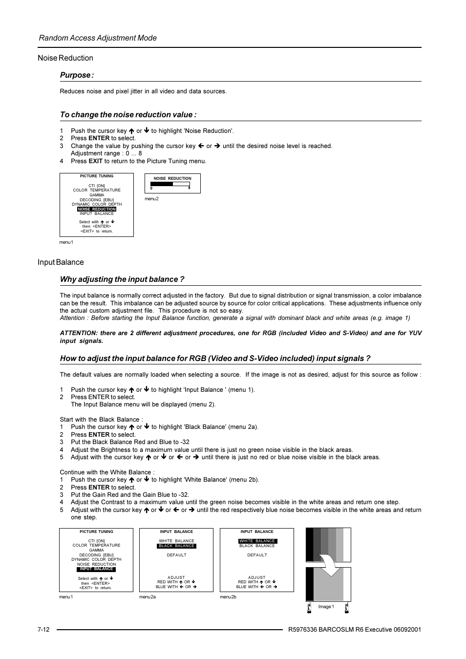 Random access adjustment mode, Noise reduction purpose, Input balance why adjusting the input balance | Barco R9002790 User Manual | Page 53 / 83