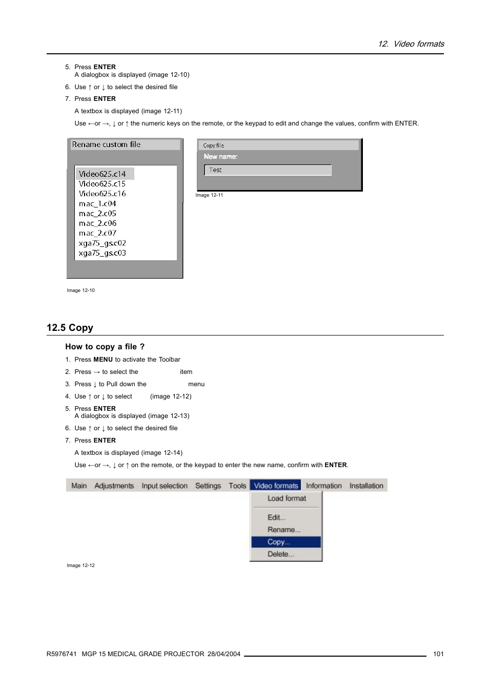 5 copy, Copy, Video formats | Barco R9003110 User Manual | Page 105 / 134
