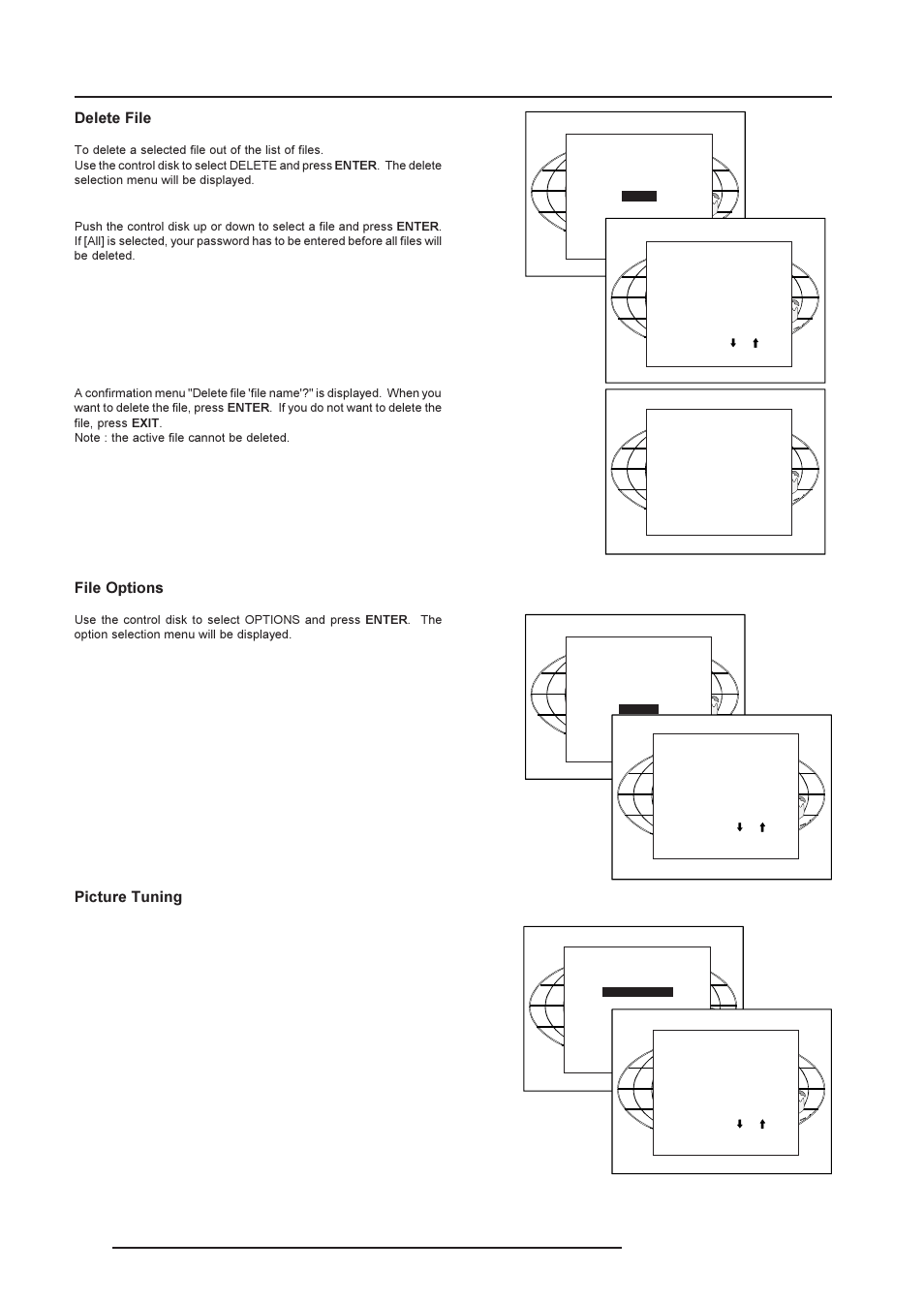 Random access adjustment mode, Delete file, File options | Picture tuning | Barco R9001190 User Manual | Page 29 / 48