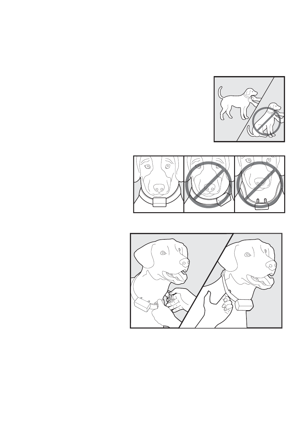 Sistemazione del collare ricevitore | Petsafe 350 m Add-A-Dog® Extra Receiver Collar User Manual | Page 104 / 164