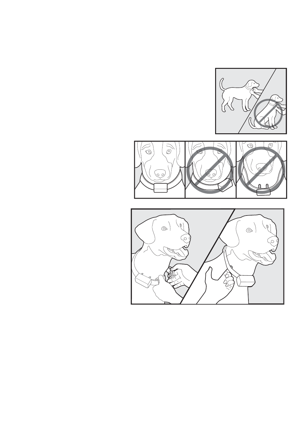 Fit the receiver collar, Step | Petsafe 350 m Add-A-Dog® Extra Receiver Collar User Manual | Page 12 / 164