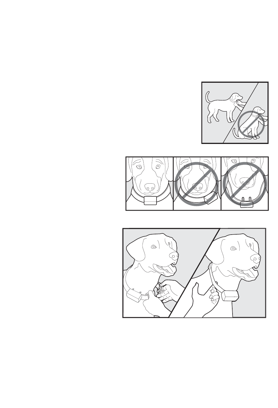 Pasklaar maken van de ontvangerhalsband, Stap | Petsafe 350 m Add-A-Dog® Extra Receiver Collar User Manual | Page 58 / 164
