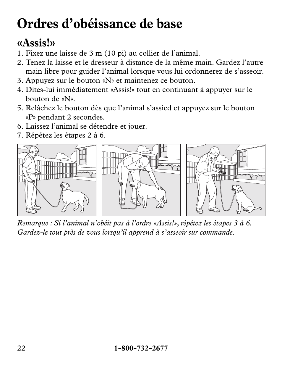 Ordres d’obéissance de base, Assis | Petsafe Collarless Remote Trainer User Manual | Page 22 / 88