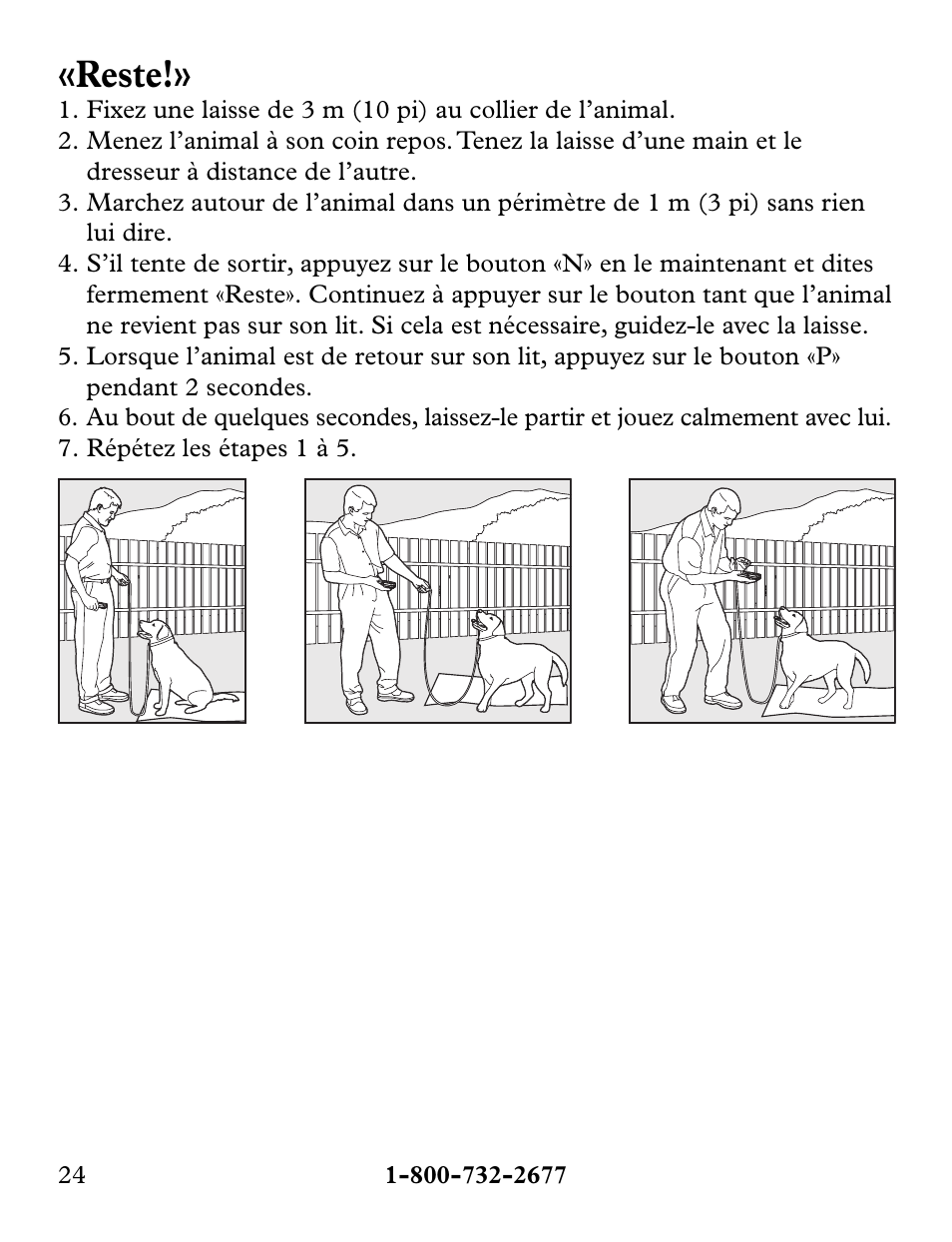 Reste | Petsafe Collarless Remote Trainer User Manual | Page 24 / 88