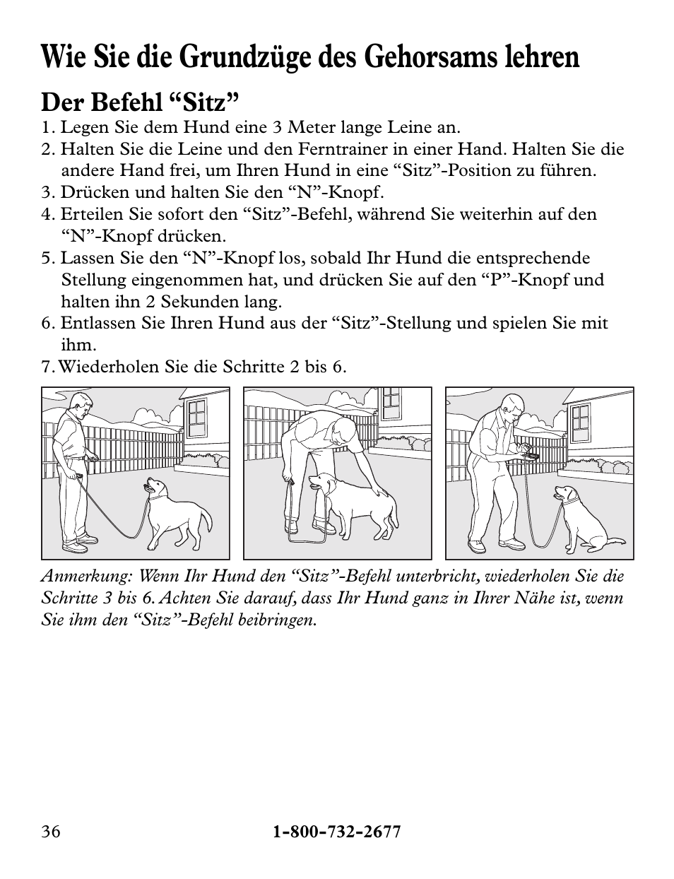 Wie sie die grundzüge des gehorsams lehren, Der befehl “sitz | Petsafe Collarless Remote Trainer User Manual | Page 36 / 88
