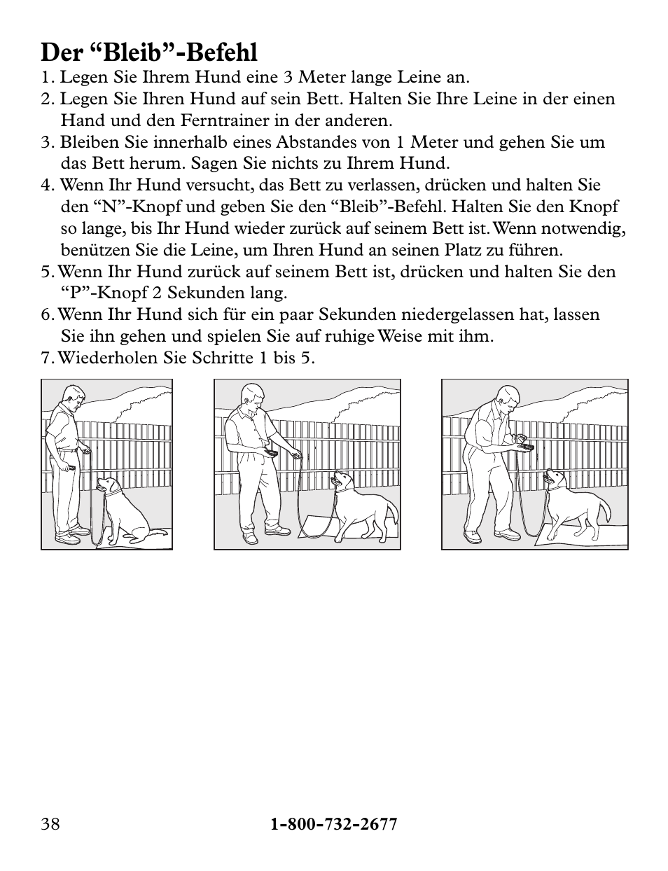 Der “bleib”-befehl | Petsafe Collarless Remote Trainer User Manual | Page 38 / 88