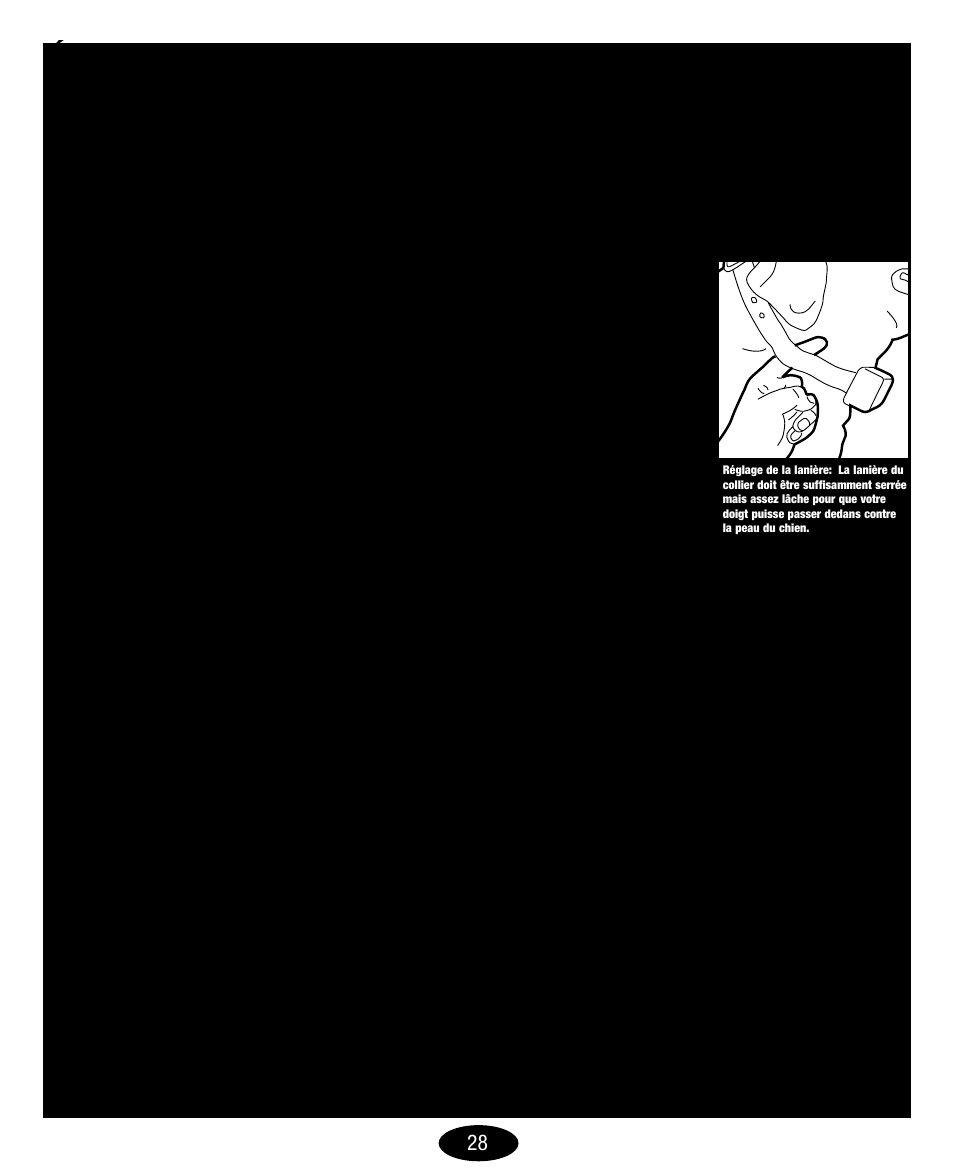 Petsafe Innotek No-Bark Collar User Manual | Page 28 / 48