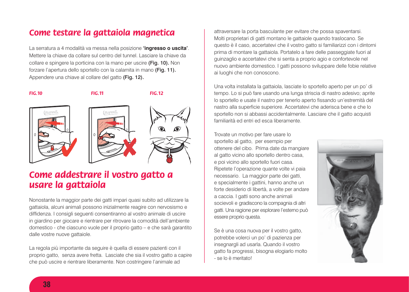 Come testare la gattaiola magnetica | Petsafe Magnetic 4 Way Locking Classic Cat Flap User Manual | Page 39 / 52