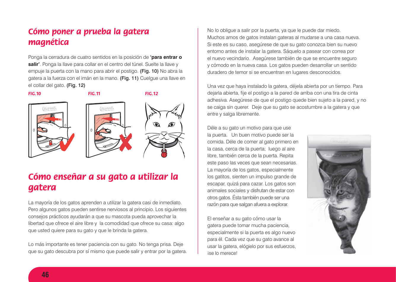 Cómo enseñar a su gato a utilizar la gatera, Cómo poner a prueba la gatera magnética | Petsafe Magnetic 4 Way Locking Classic Cat Flap User Manual | Page 47 / 52