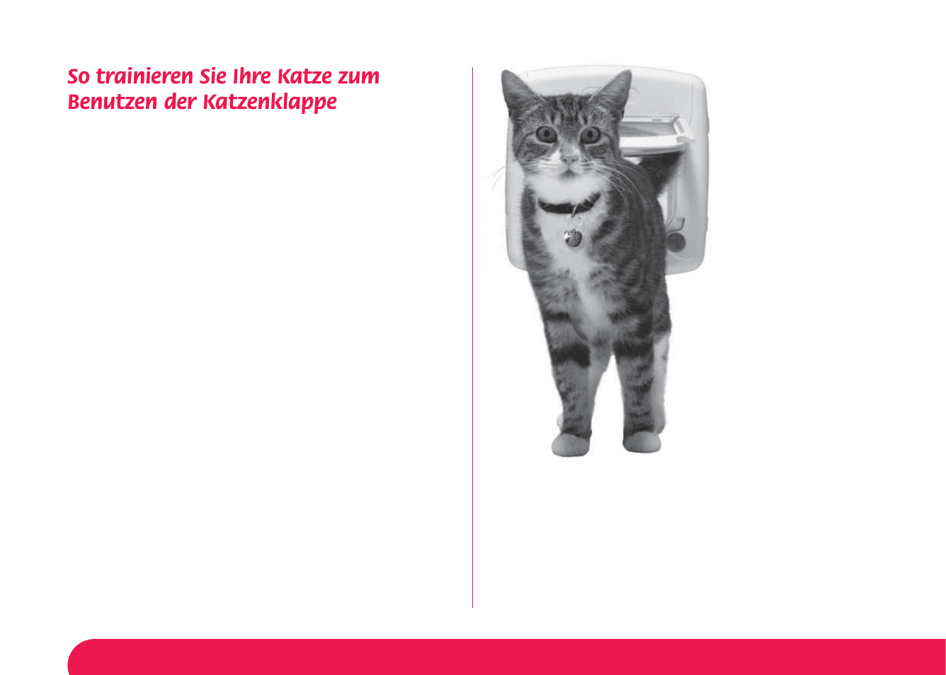 Petsafe Magnetic 4-Way Locking Cat Flap User Manual | Page 31 / 52