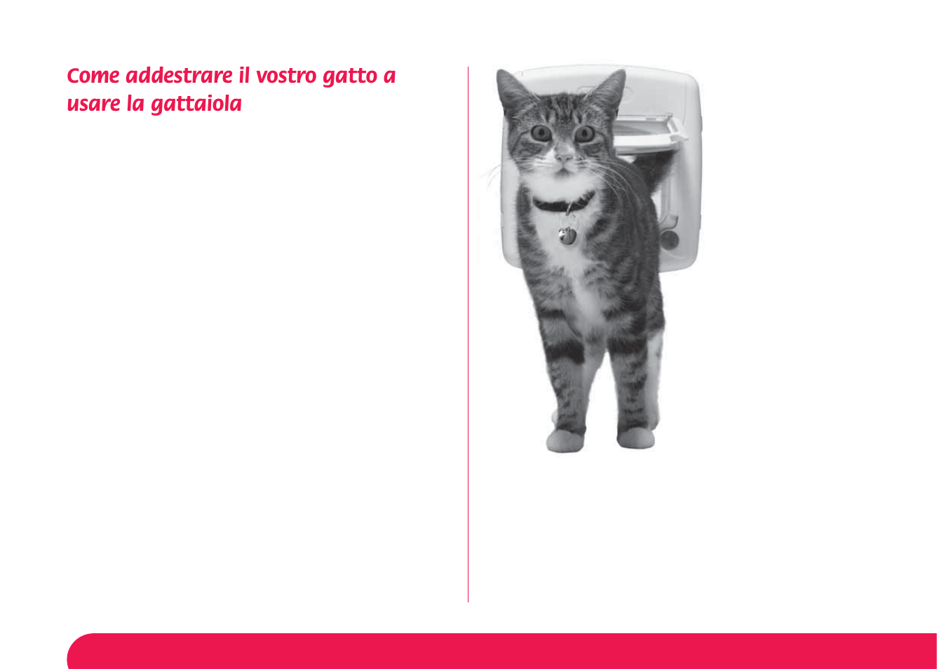 Petsafe Magnetic 4-Way Locking Cat Flap User Manual | Page 39 / 52
