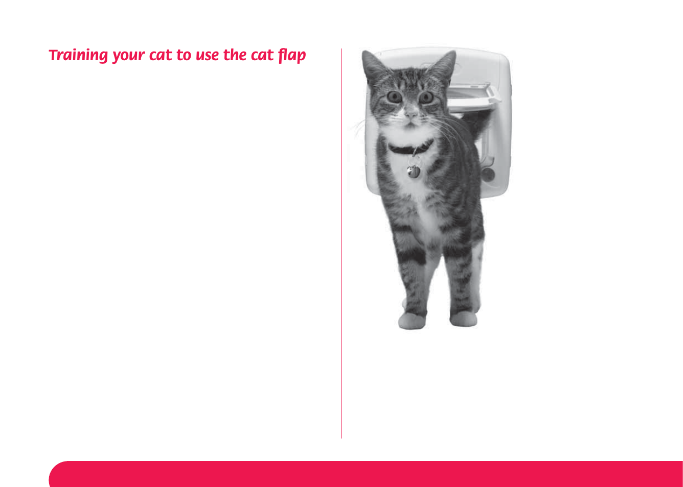 Training your cat to use the cat ﬂ ap | Petsafe Magnetic 4-Way Locking Cat Flap User Manual | Page 7 / 52