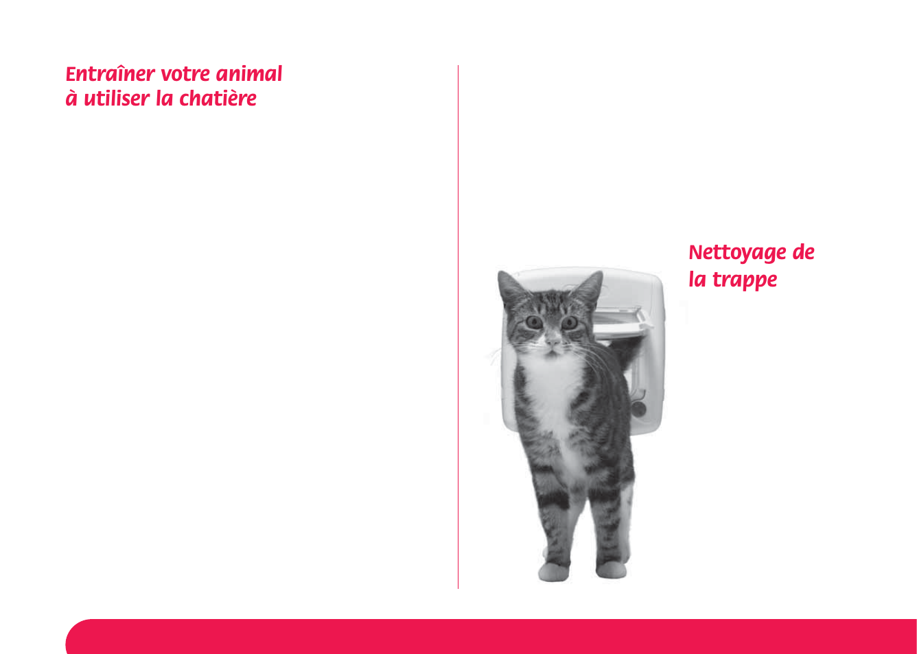 Entraîner votre animal à utiliser la chatière, Nettoyage de la trappe | Petsafe Manual 4 Way Locking Classic Cat Flap User Manual | Page 14 / 44