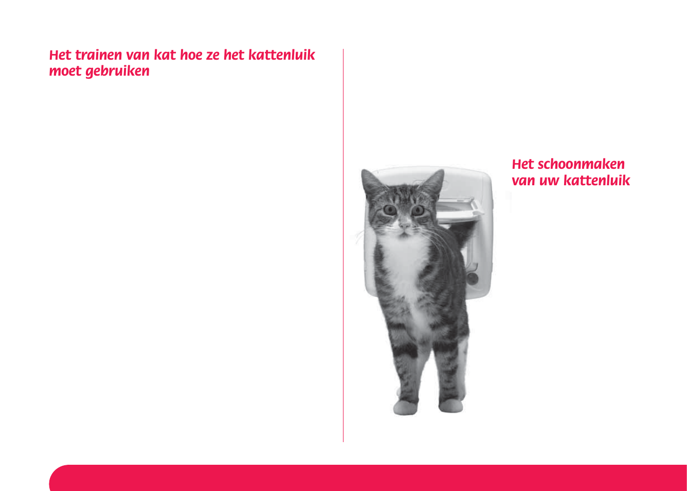 Het schoonmaken van uw kattenluik | Petsafe Manual 4 Way Locking Classic Cat Flap User Manual | Page 21 / 44