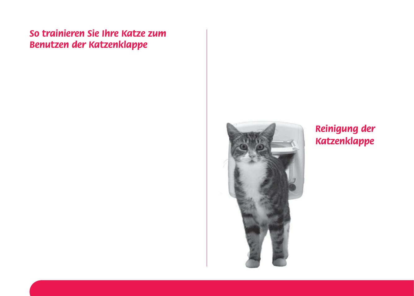 Reinigung der katzenklappe | Petsafe Manual 4 Way Locking Classic Cat Flap User Manual | Page 28 / 44