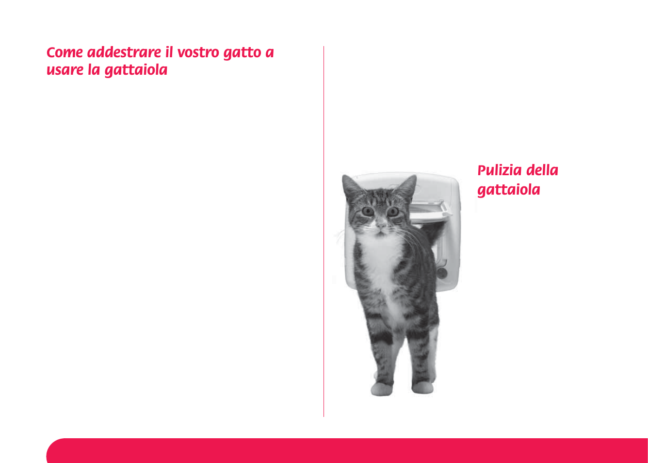 Pulizia della gattaiola | Petsafe Manual 4 Way Locking Classic Cat Flap User Manual | Page 35 / 44