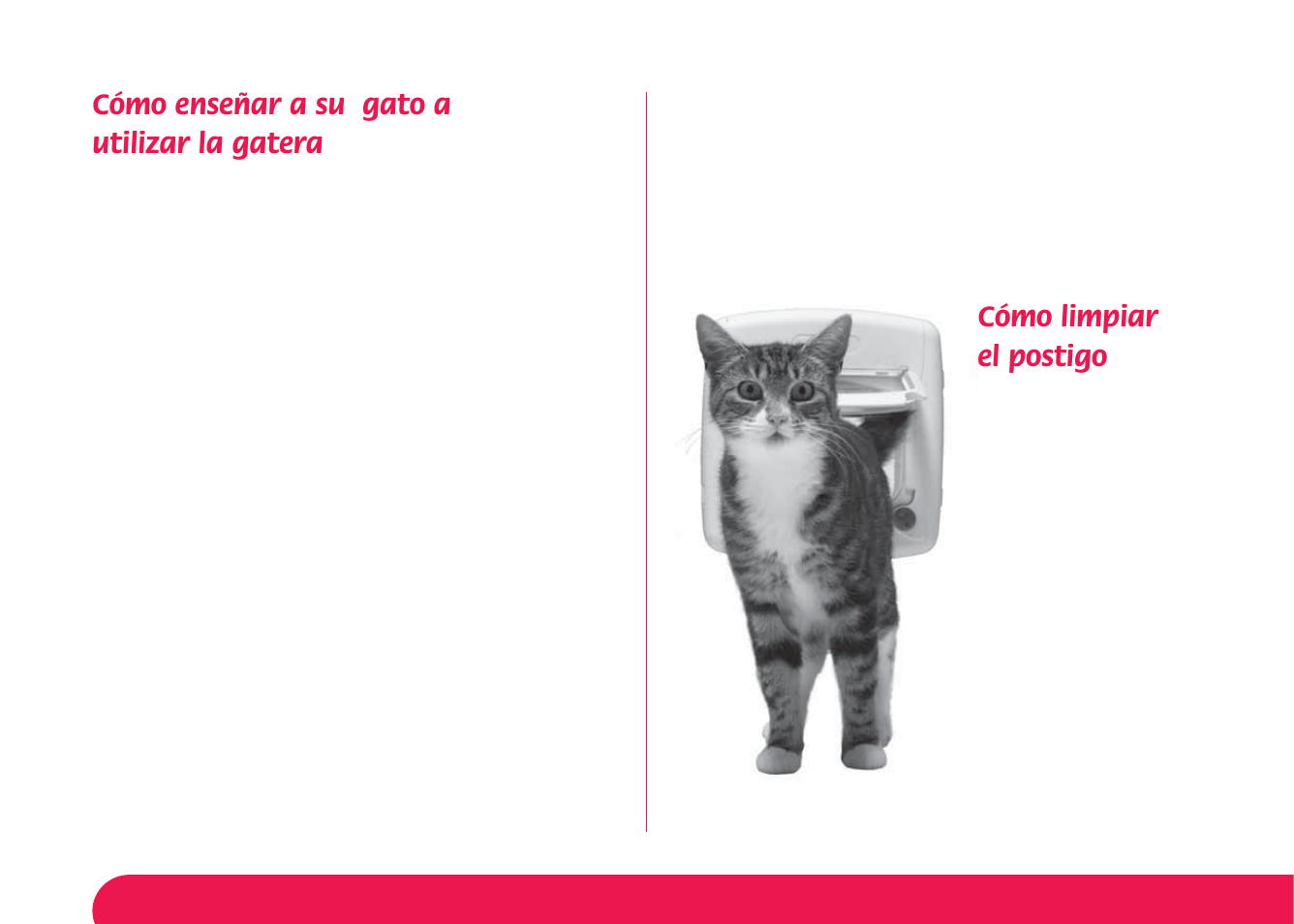 Cómo enseñar a su gato a utilizar la gatera, Cómo limpiar el postigo | Petsafe Manual 4 Way Locking Classic Cat Flap User Manual | Page 42 / 44