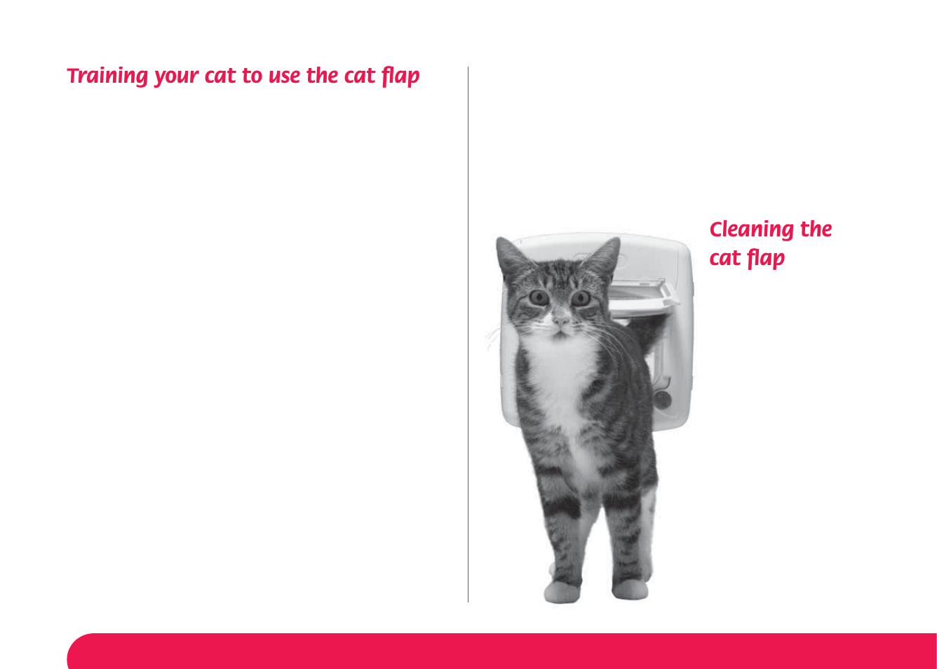 Training your cat to use the cat ﬂ ap, Cleaning the cat ﬂ ap | Petsafe Manual 4 Way Locking Classic Cat Flap User Manual | Page 7 / 44