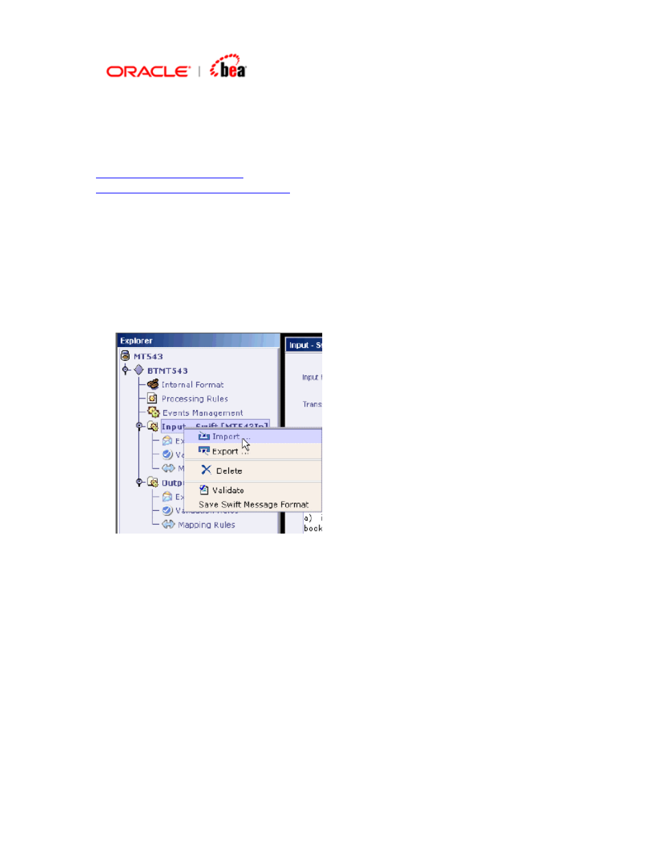Importing a swift message format | BEA SWIFT Adapter User Manual | Page 109 / 113