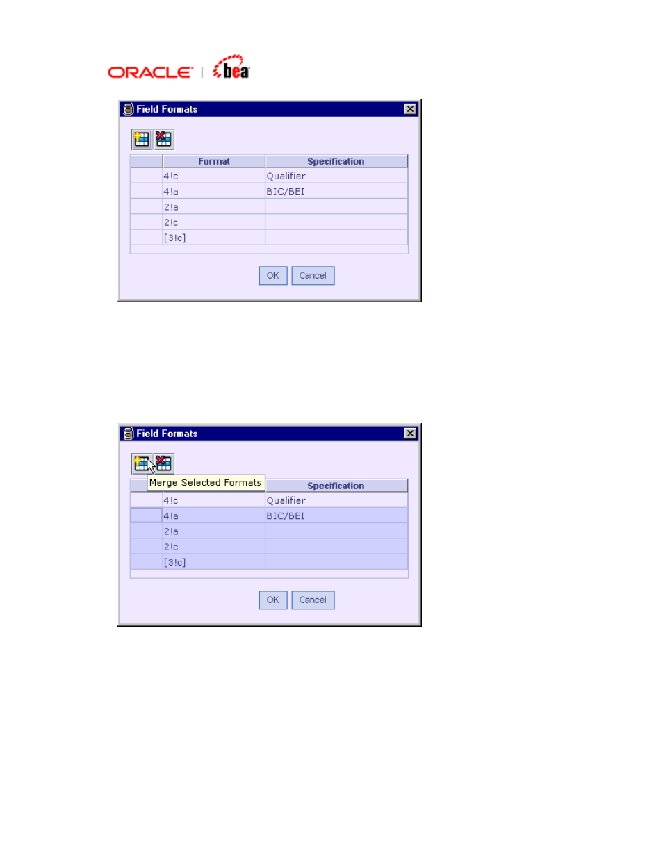 BEA SWIFT Adapter User Manual | Page 45 / 113