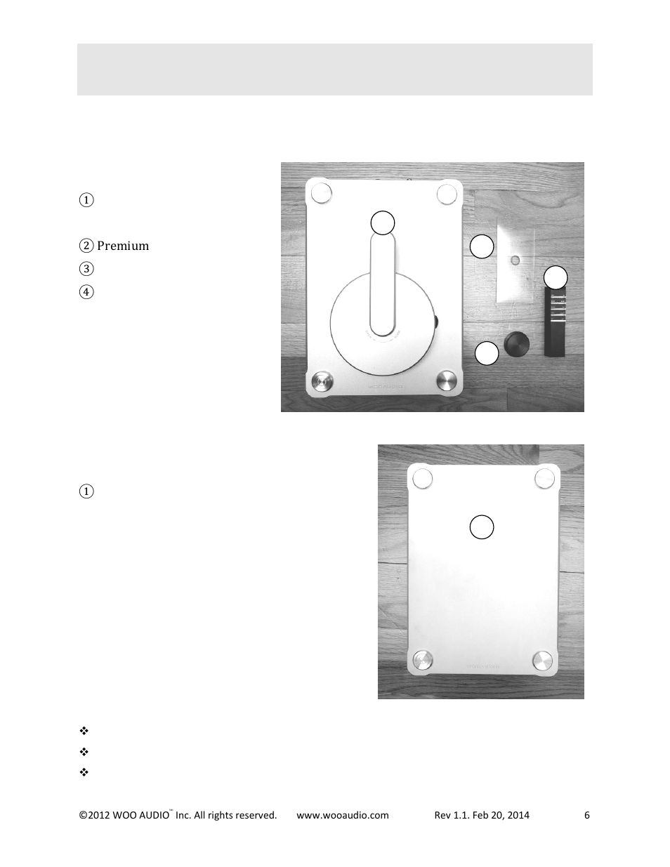 Getting started | Woo Audio WDS-1 User Manual | Page 6 / 19