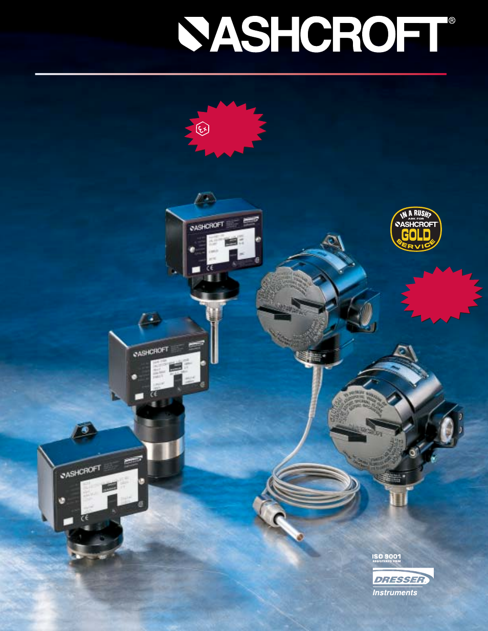 Pilgrim Pressure Switches B-SERIES User Manual | 16 pages