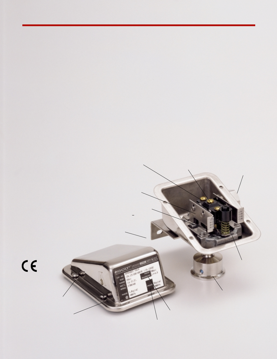 Product information g-series | Pilgrim MULTIFUNCTION PRESSURE AND TEMPERATURE SWITCHES User Manual | Page 2 / 12