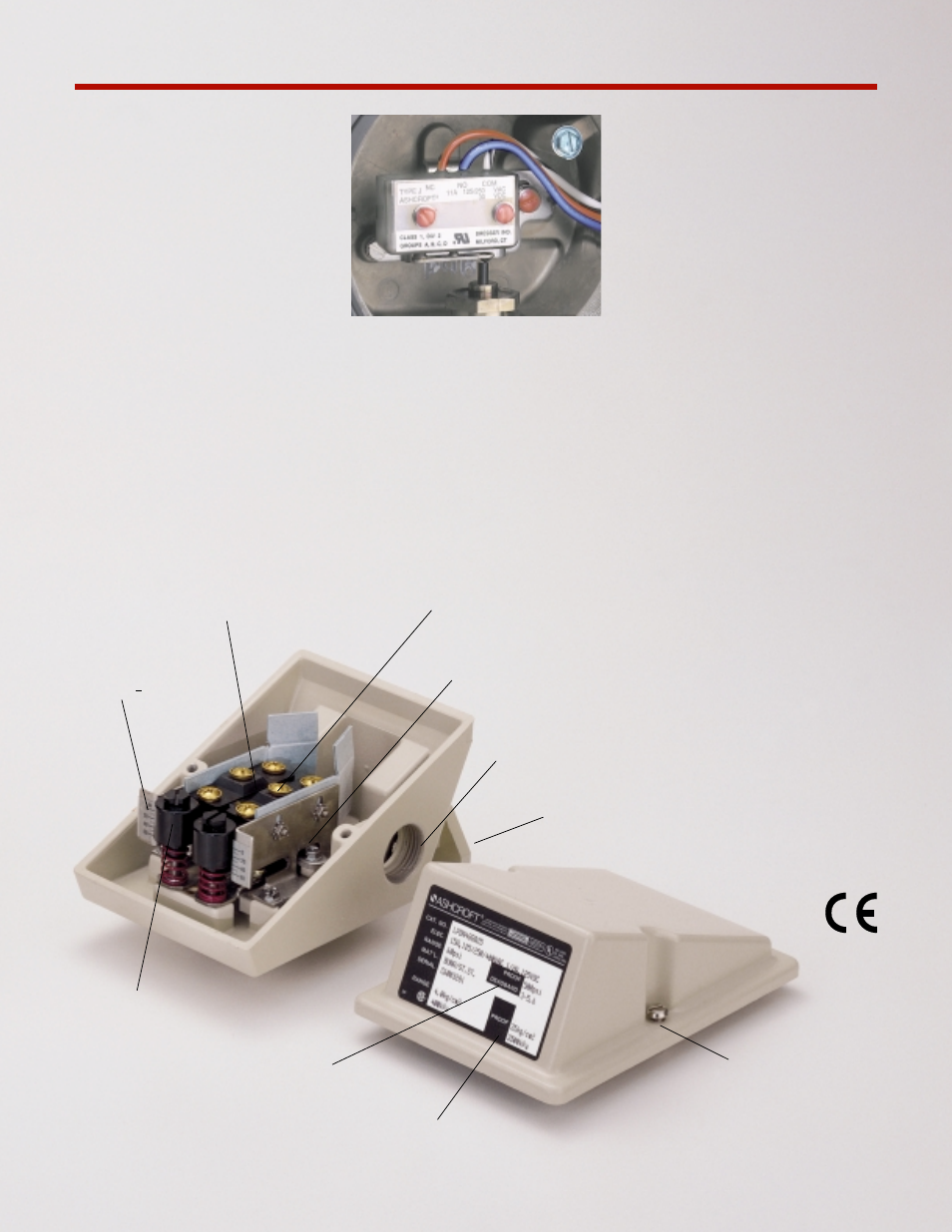 L-series | Pilgrim MULTIFUNCTION PRESSURE AND TEMPERATURE SWITCHES User Manual | Page 3 / 12