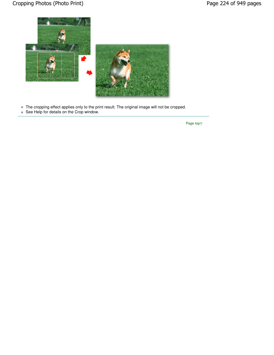 Canon PIXMA MP560 User Manual | Page 224 / 949