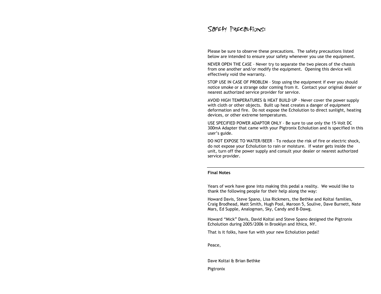 Safety precautions | Pigtronix Echolution Chrome User Manual | Page 20 / 20