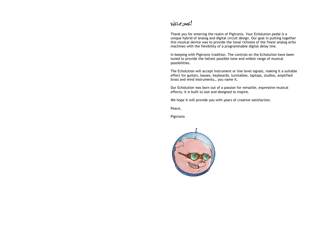 Welcome | Pigtronix Echolution Chrome User Manual | Page 3 / 20