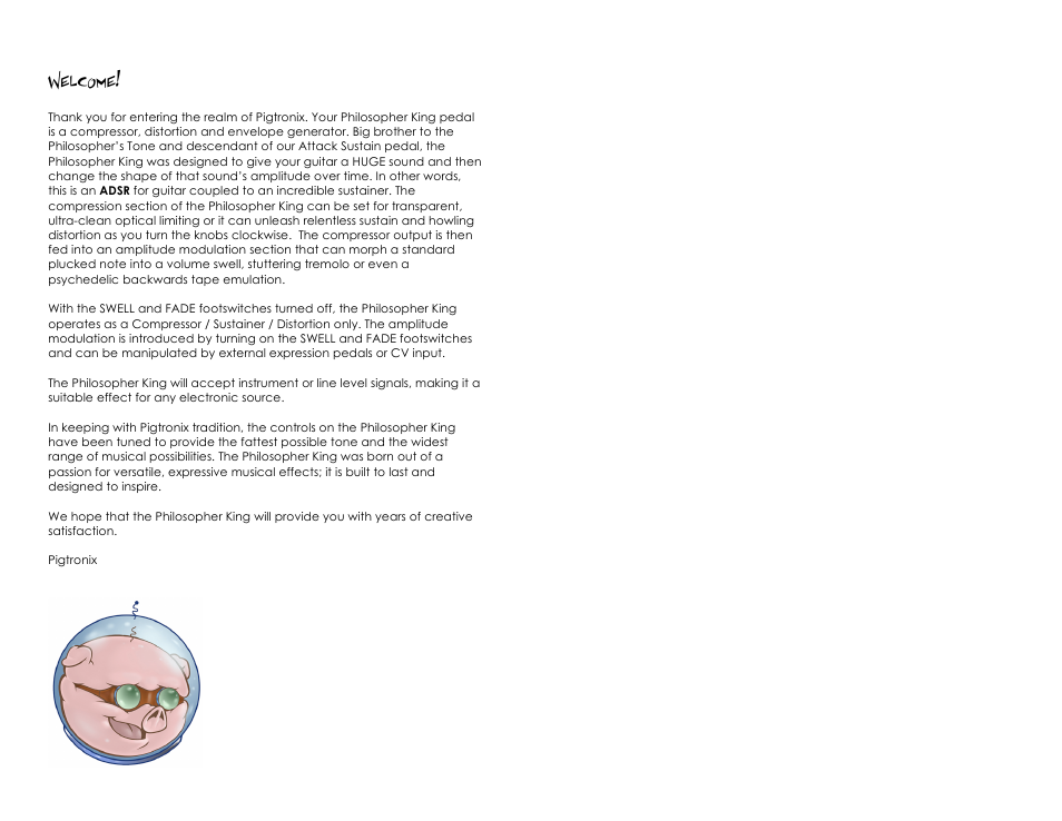 Welcome | Pigtronix Philosopher King User Manual | Page 3 / 10