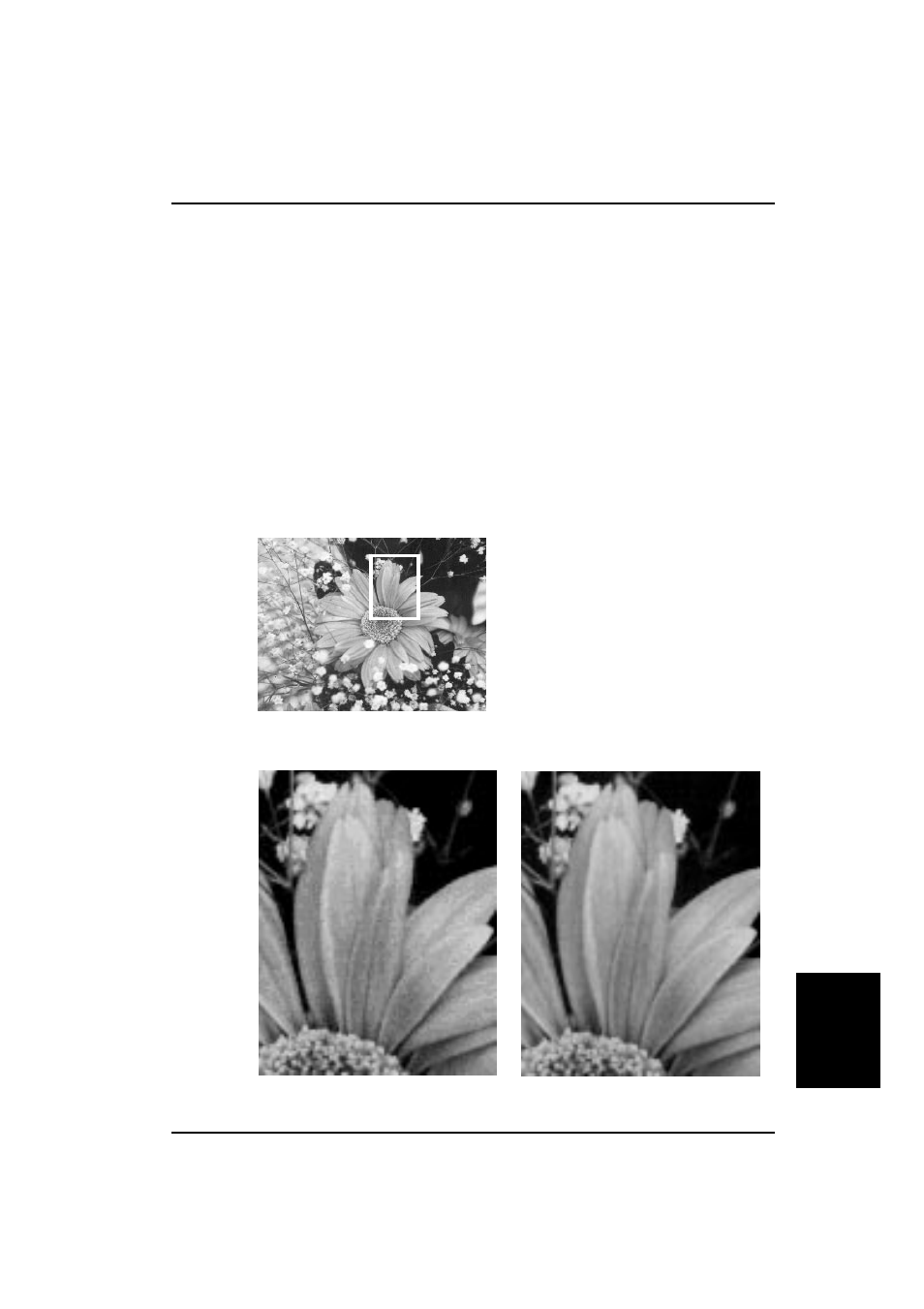 Multi-value scanning, Appendix | Bell & Howell S02294A User Manual | Page 35 / 45