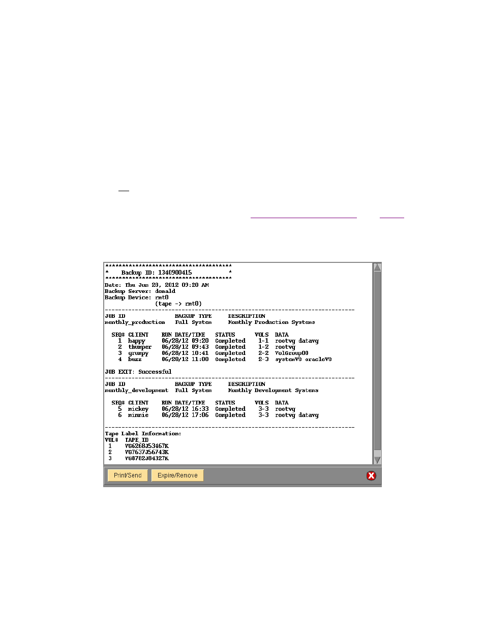 Backup labels, Job message screen | Storix Software SBAdmin User Guide User Manual | Page 96 / 171