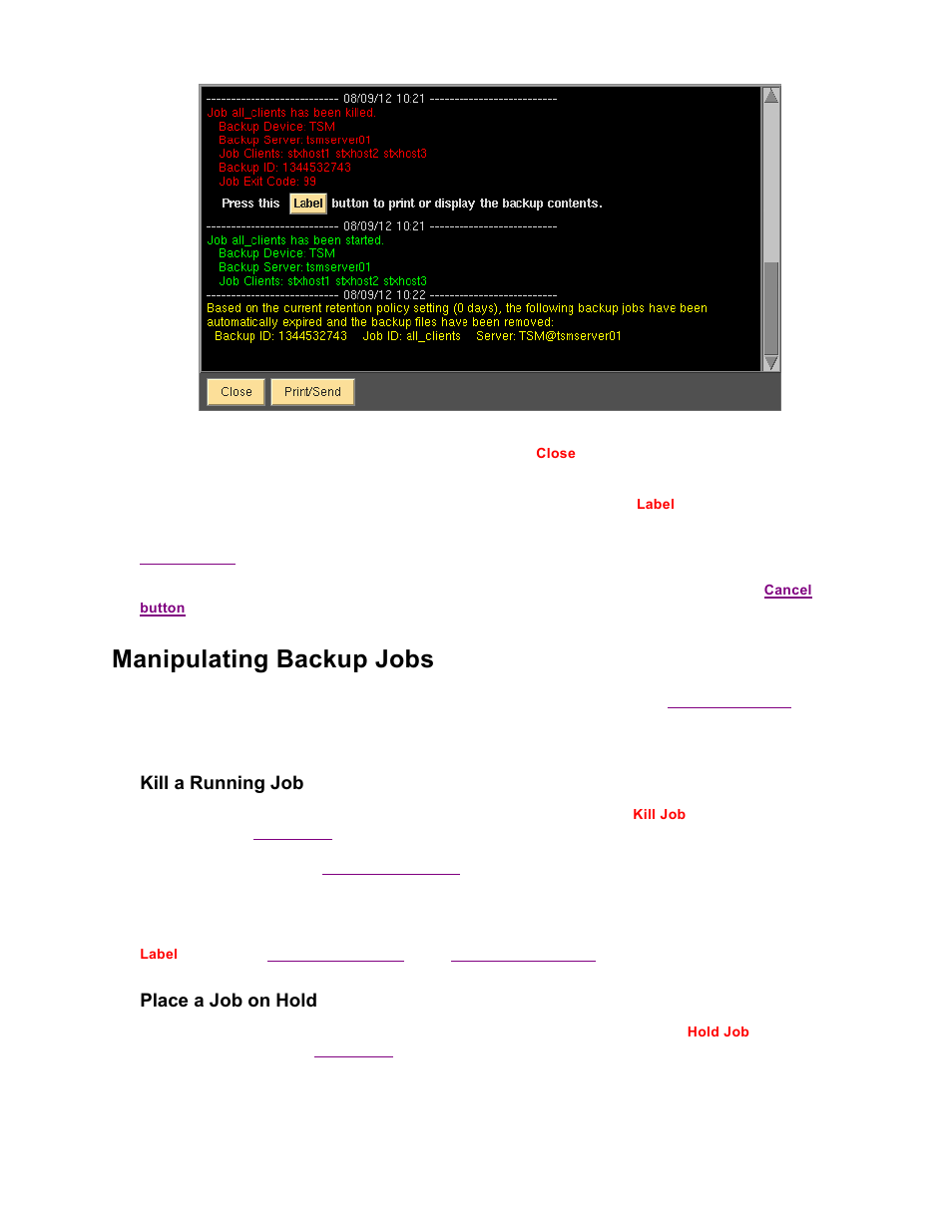 Manipulating backup jobs, Kill a running job, Place a job on hold | Storix Software SBAdmin TSM Edition Users Guide User Manual | Page 58 / 117