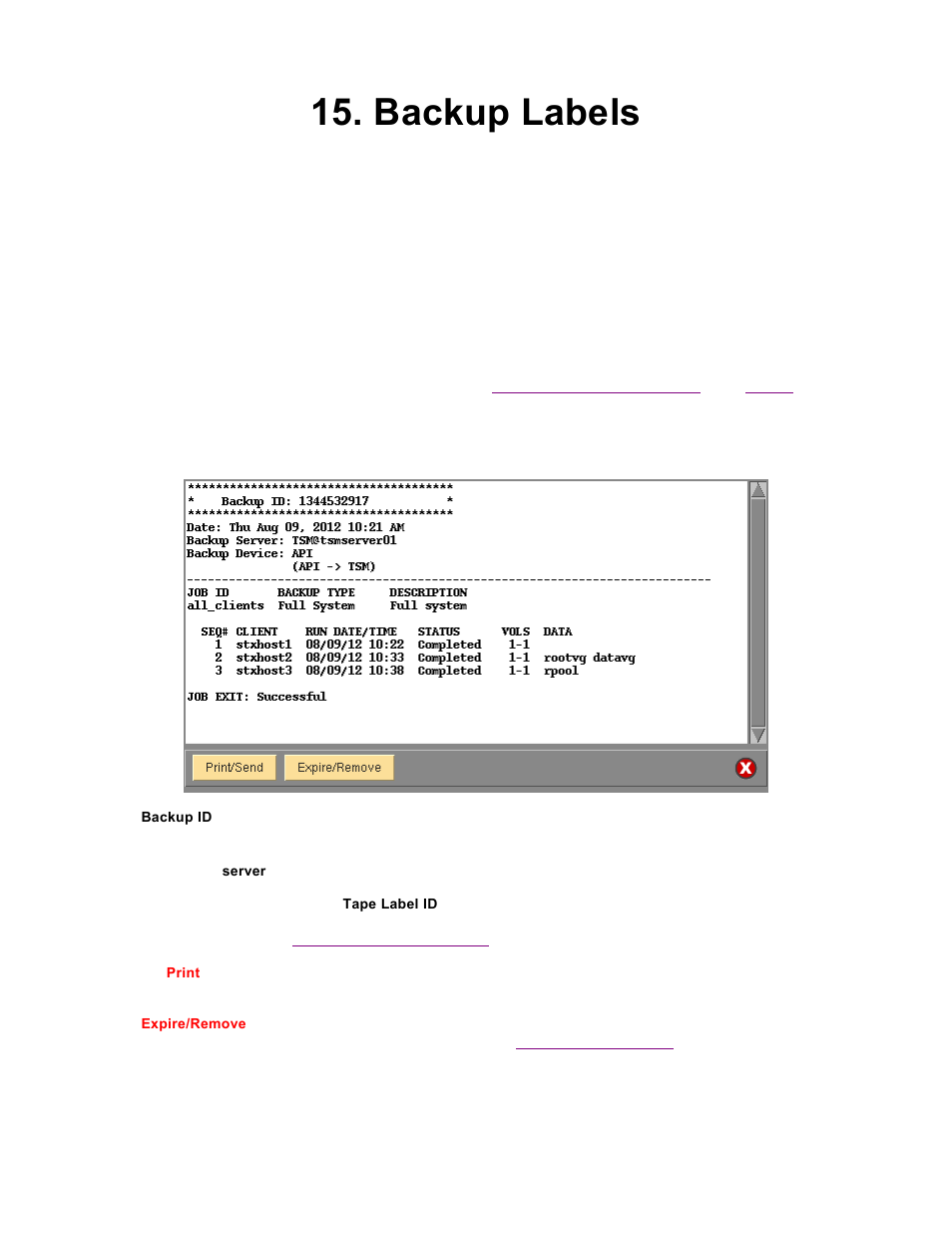 Backup labels | Storix Software SBAdmin TSM Edition Users Guide User Manual | Page 60 / 117