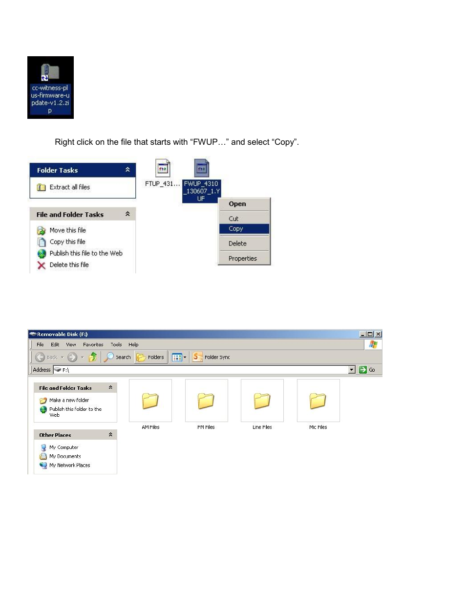 C. Crane Witness Plus User Manual | Page 3 / 5