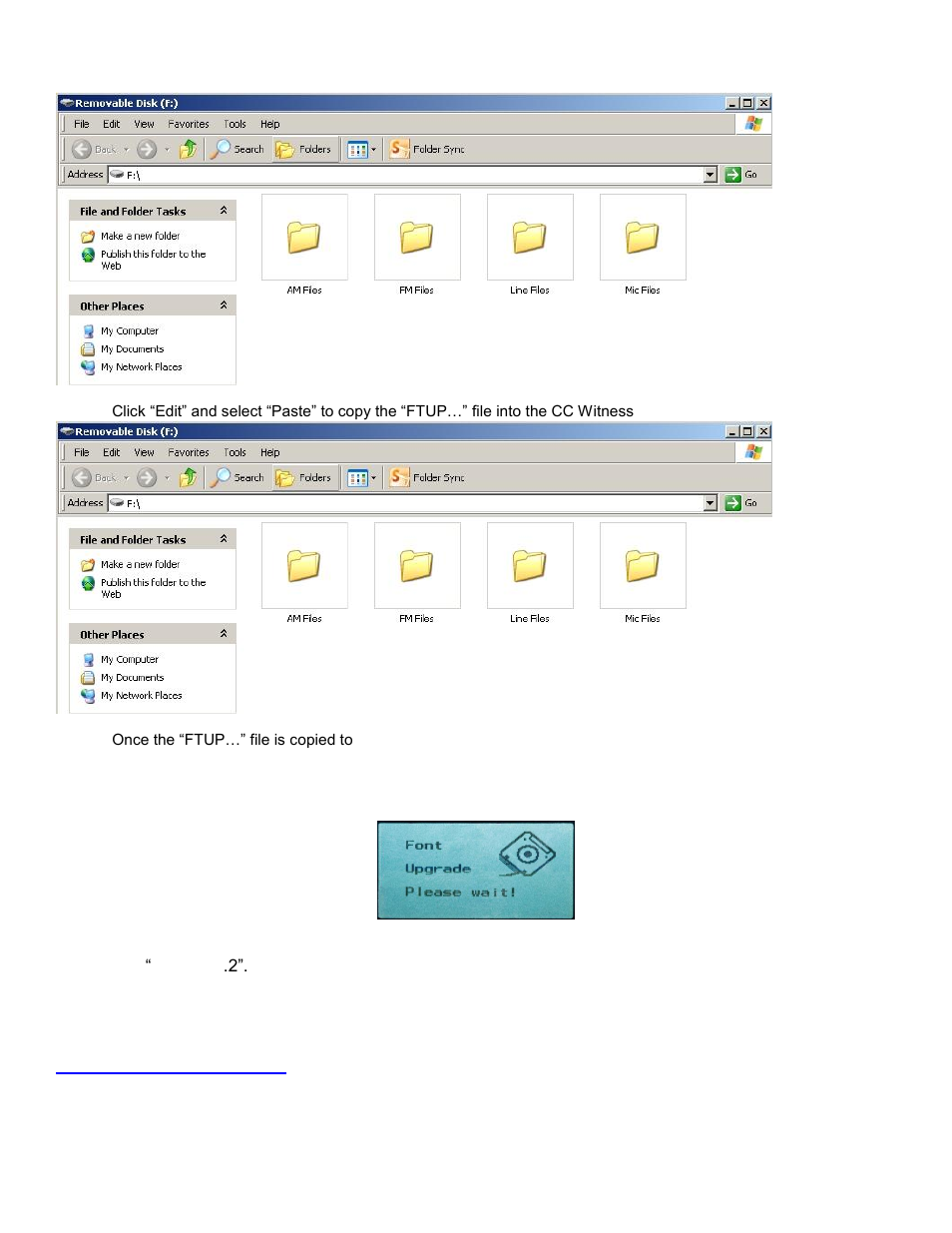 C. Crane Witness Plus User Manual | Page 5 / 5