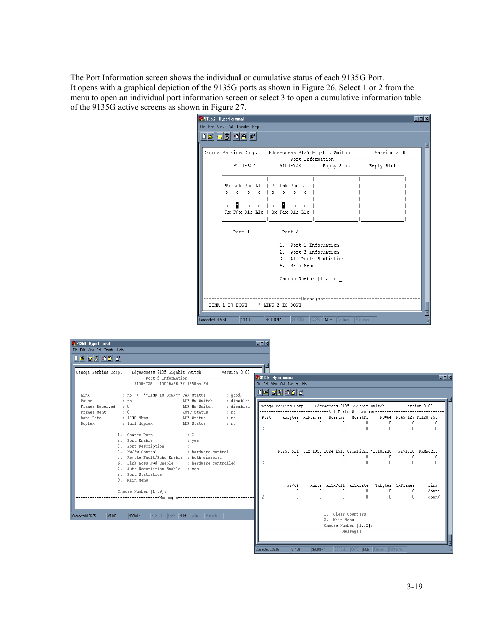 3 port information, 3 port information -19 | CANOGA PERKINS 9135G SNMP Managed Gigabit Ethernet Switch User Manual | Page 35 / 66