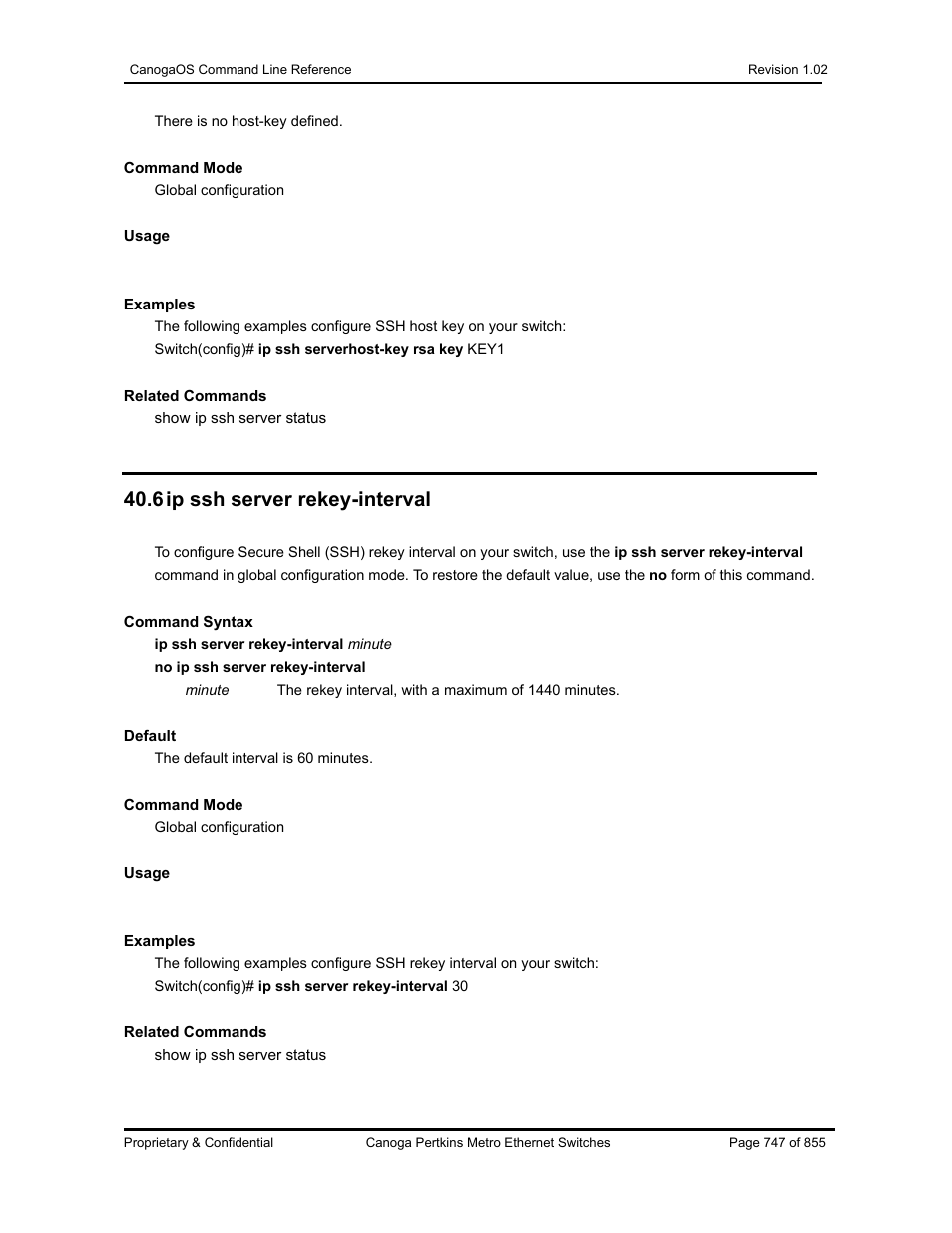 6 ip ssh server rekey-interval | CANOGA PERKINS CanogaOS Command Reference User Manual | Page 747 / 855