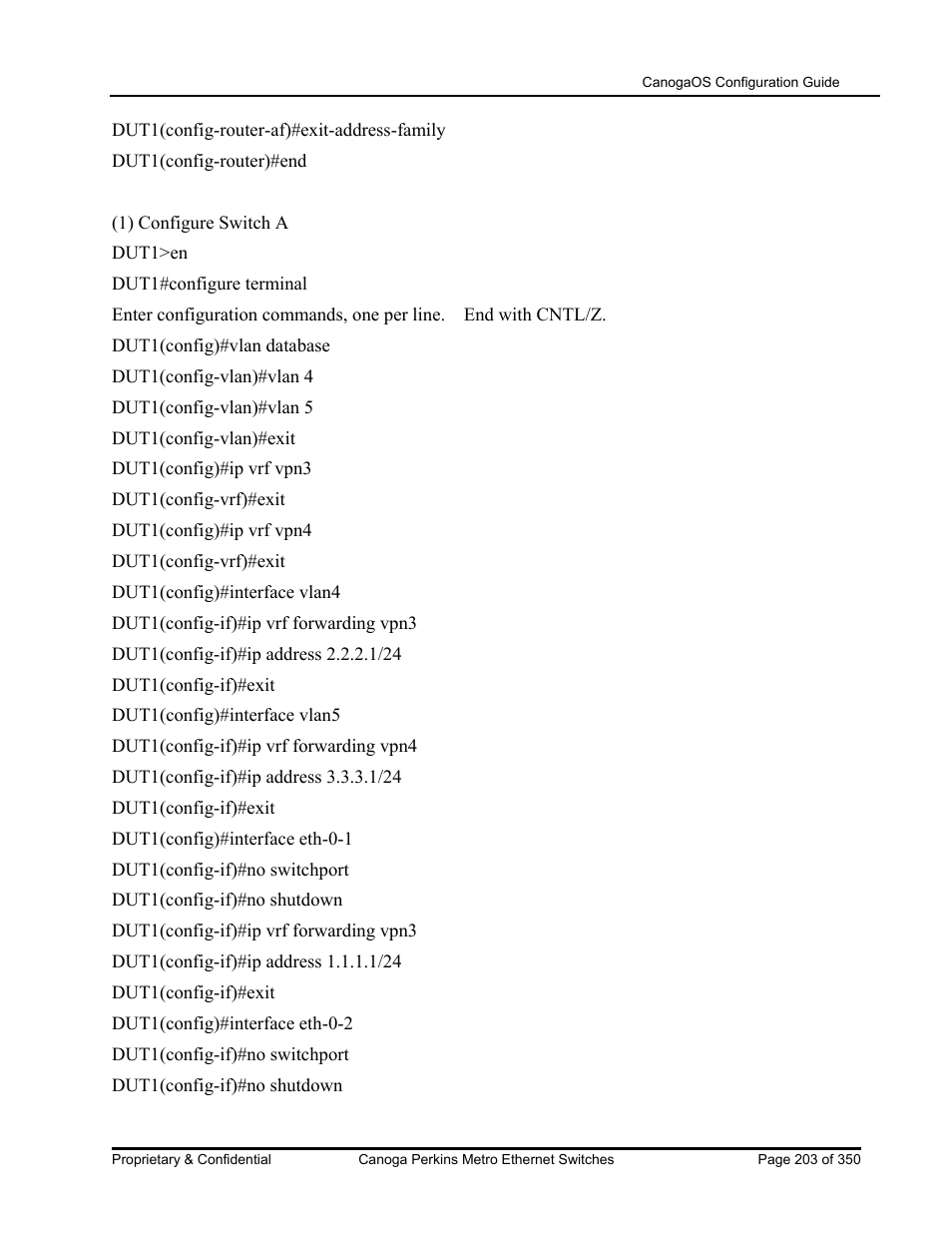 CANOGA PERKINS CanogaOS Configuration Guide User Manual | Page 203 / 350